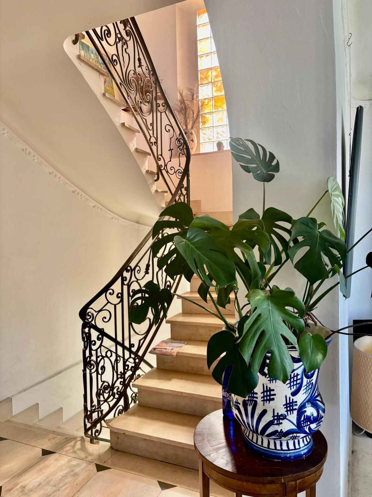 Villa Tricia Cannes Exterior foto