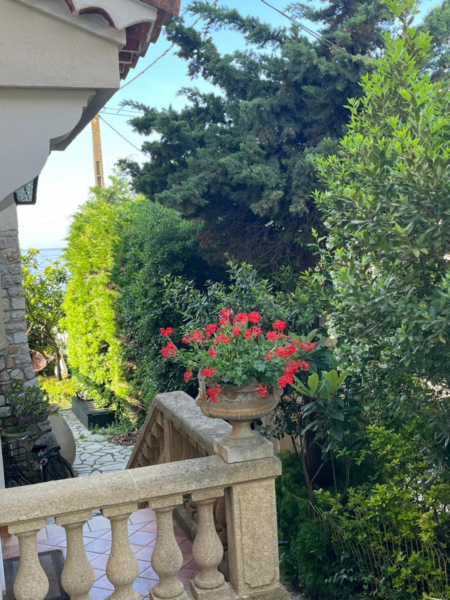 Villa Tricia Cannes Exterior foto
